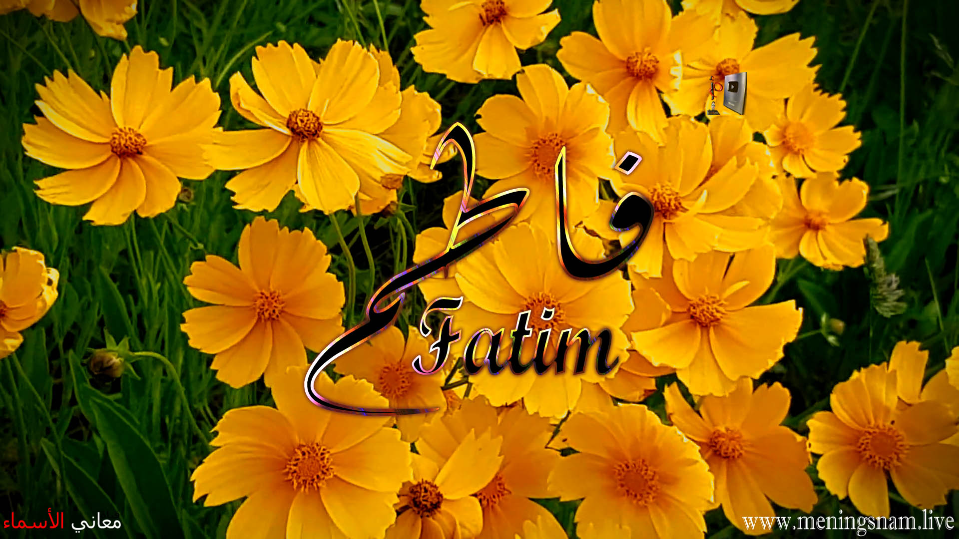 معنى اسم, فاطم, وصفات حاملة, هذا الاسم, Fatim,