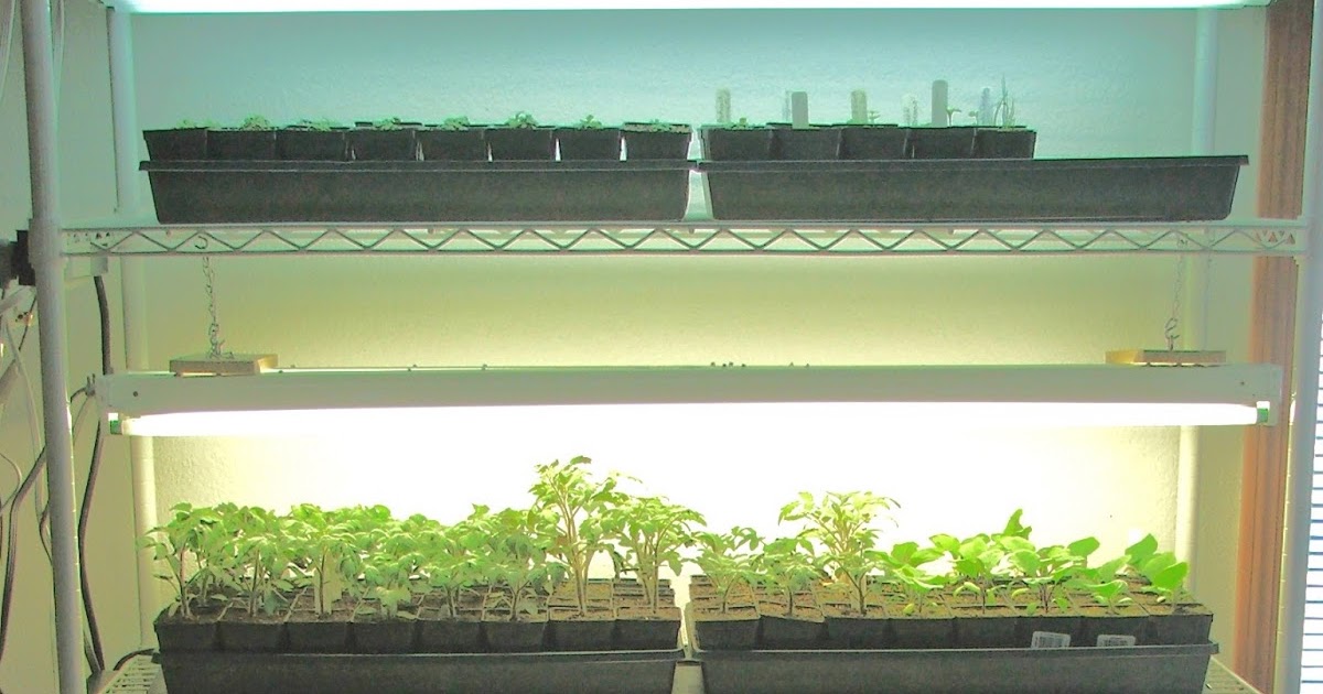 Wasilla Alaska Garden Adventures Starting Seeds for 2016 in Wasilla