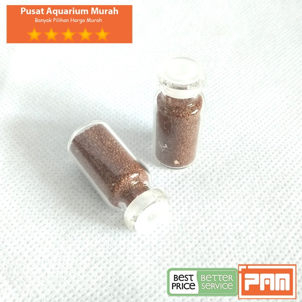 Benih Bibit Carpet Seed Mini Dwarf Tanaman Aquascape Impor Karpet