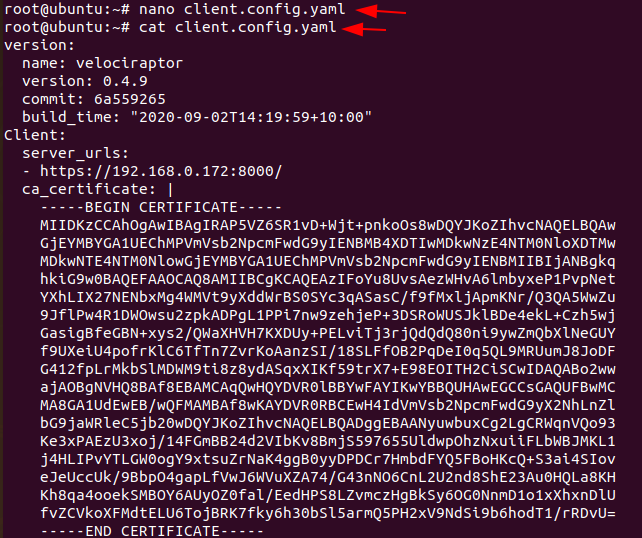 Velociraptor for Endpoint Monitoring