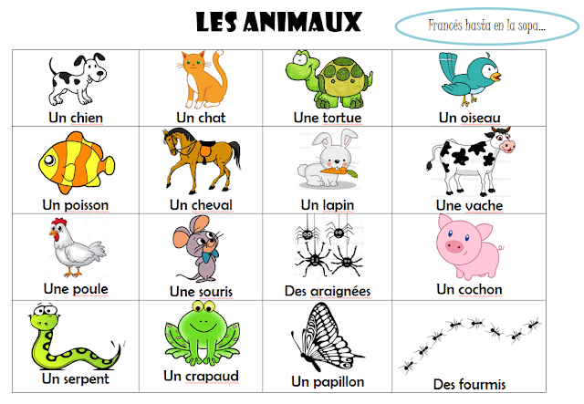 Zwierzęta - słownictwo 7 - Francuski przy kawie