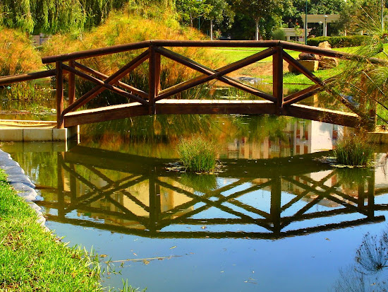 Que significa soñar con puente