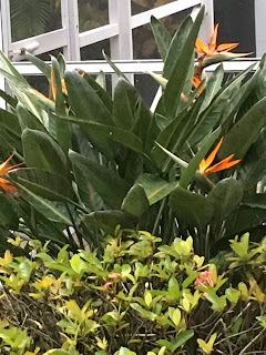 Open