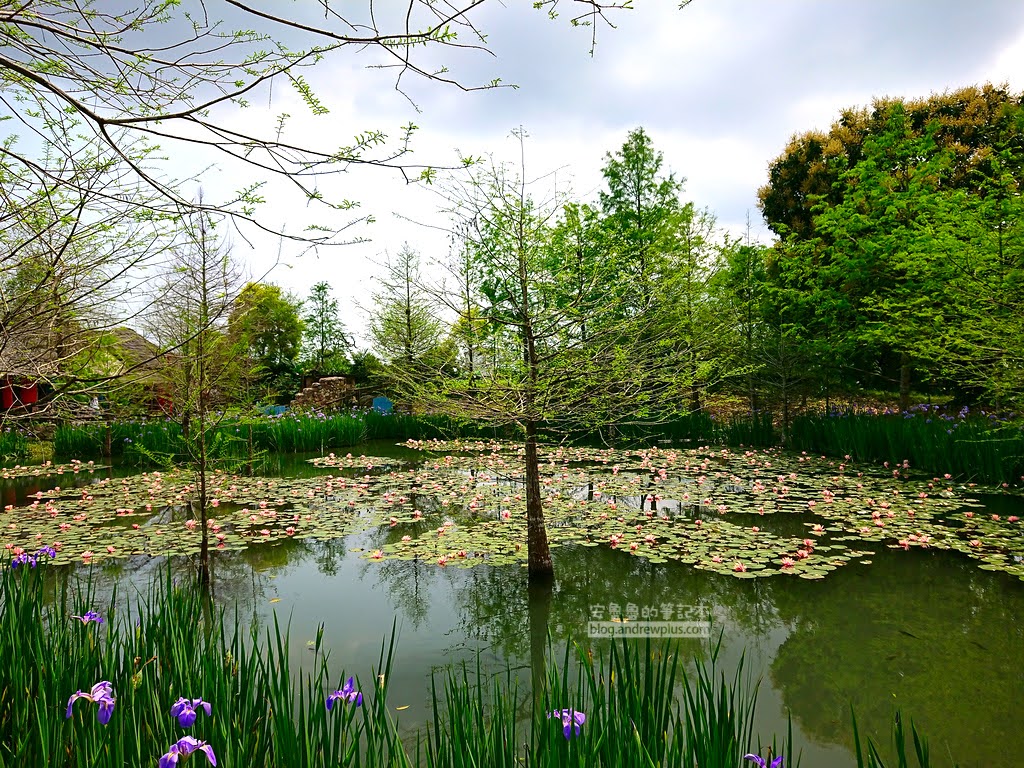 壽豐鄉咖啡館,壽豐鄉景點,花蓮必玩咖啡店