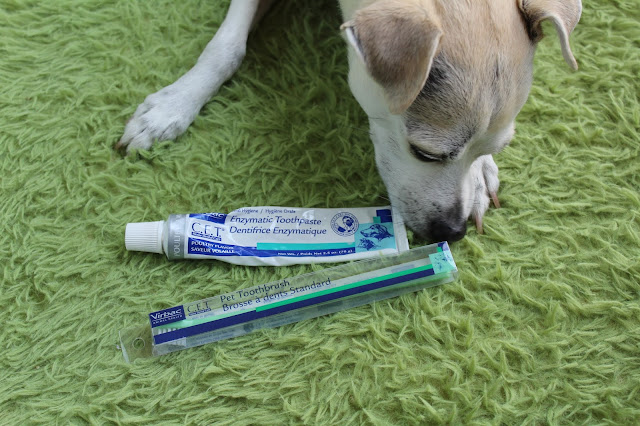 Virbac CET Enzymatic Toothpaste Review