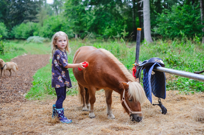 cloud nine glamping, family glamping, cotswolds glamping