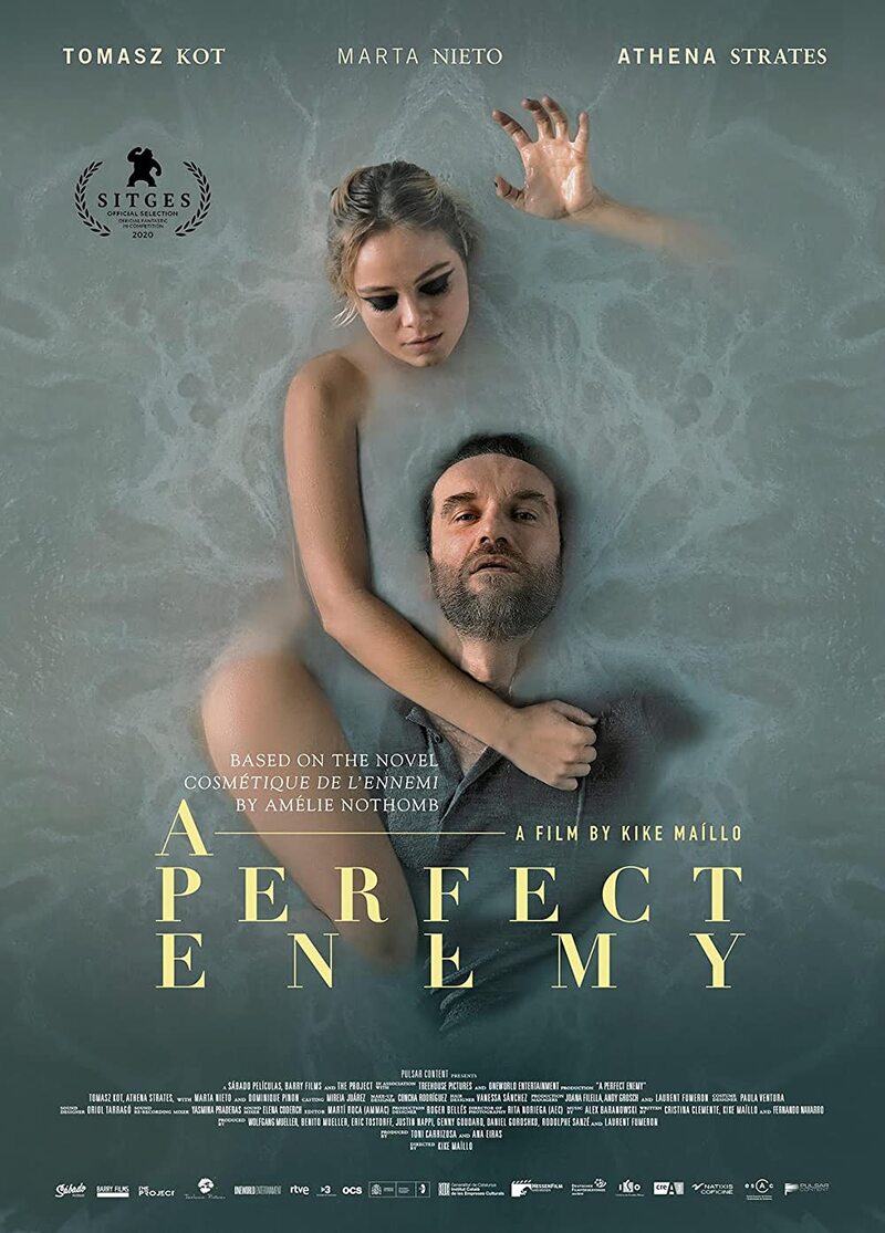 a perfect enemy poster