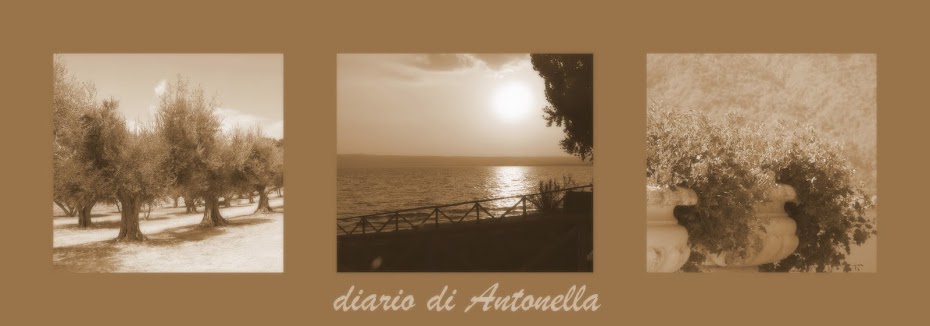 diario di Antonella