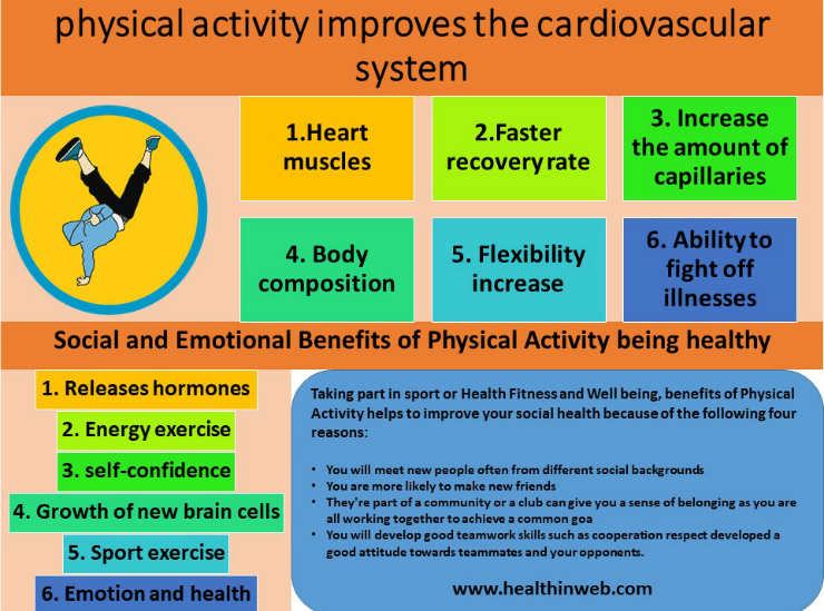 Benefits Of Exercise For The Cardiovascular System Online degrees