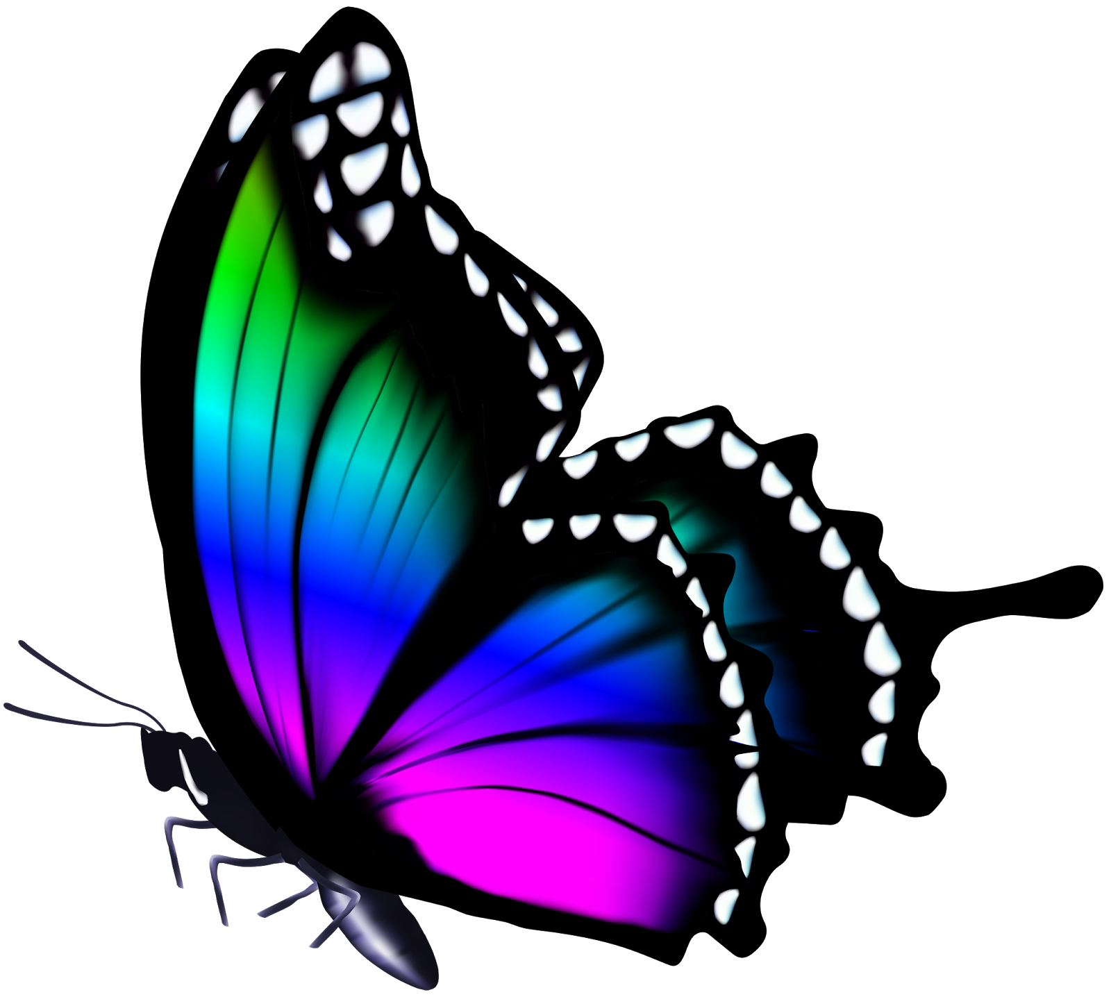 Разноцветные бабочки. Бабочки цветные. Красивые бабочки. Бабочки красивые цветные. Рисунки в формате jpg