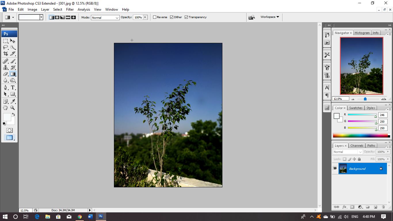 Nature Photography Edit Photographer Choices