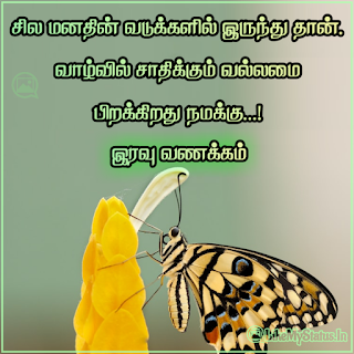 Inspiration good night quote tamil