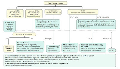 management of early breast cancer