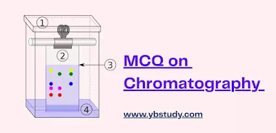 MCQ on Chromatography