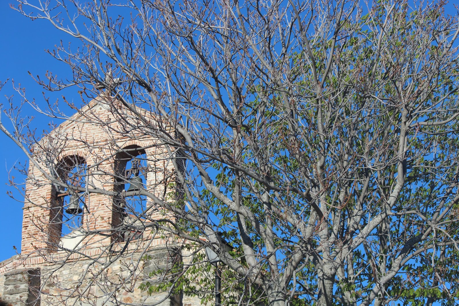 Historia y Genealogía Berzosa del Lozoya. Madrid