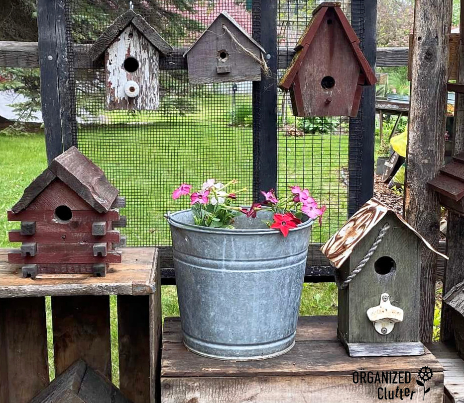 Rustic Birdhouse Display Assembled From Crates, Fence Picket, and a
