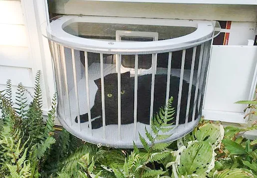 Cat window box