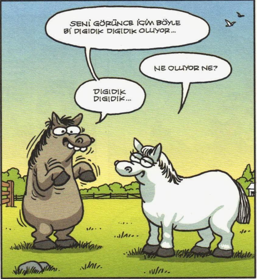 Kızlı Erkekli Kedili Facebook ve Karikatürler Kızlı Erkekli Kedili Facebook ve Karikatürler