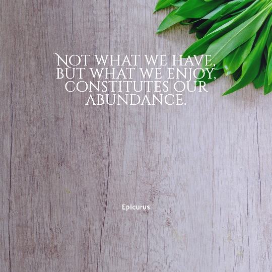 the Greek philosopher Epicurus said: “Not what we have, but what we enjoy, constitutes our abundance.”