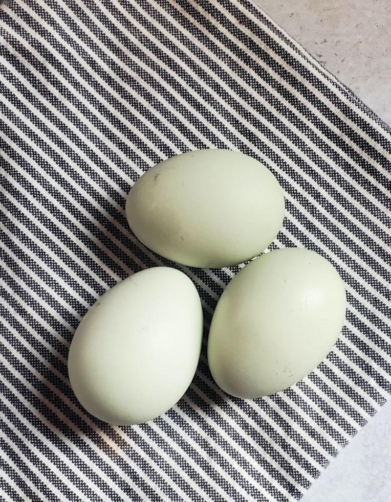 Poultry Egg Identification Chart Chicken Duck Goose Quail Turkey Emu