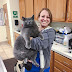 Picture of overweight, startled gray cat tells a story