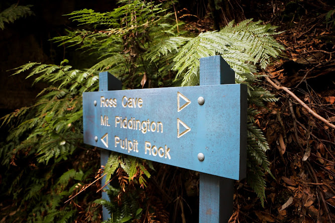 Ross Cave The Little Zig Zag Track Ross Cave Blue Mountains NSW