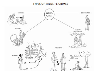 Types Of Wildlife Crimes