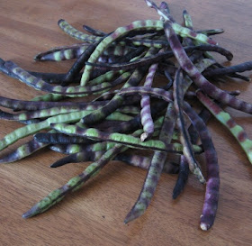 fresh shelling beans