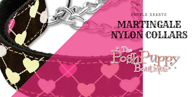 Designer Dog Collars Designer Dog Collars