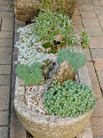 Barry Parker tufa trough with alpine scene