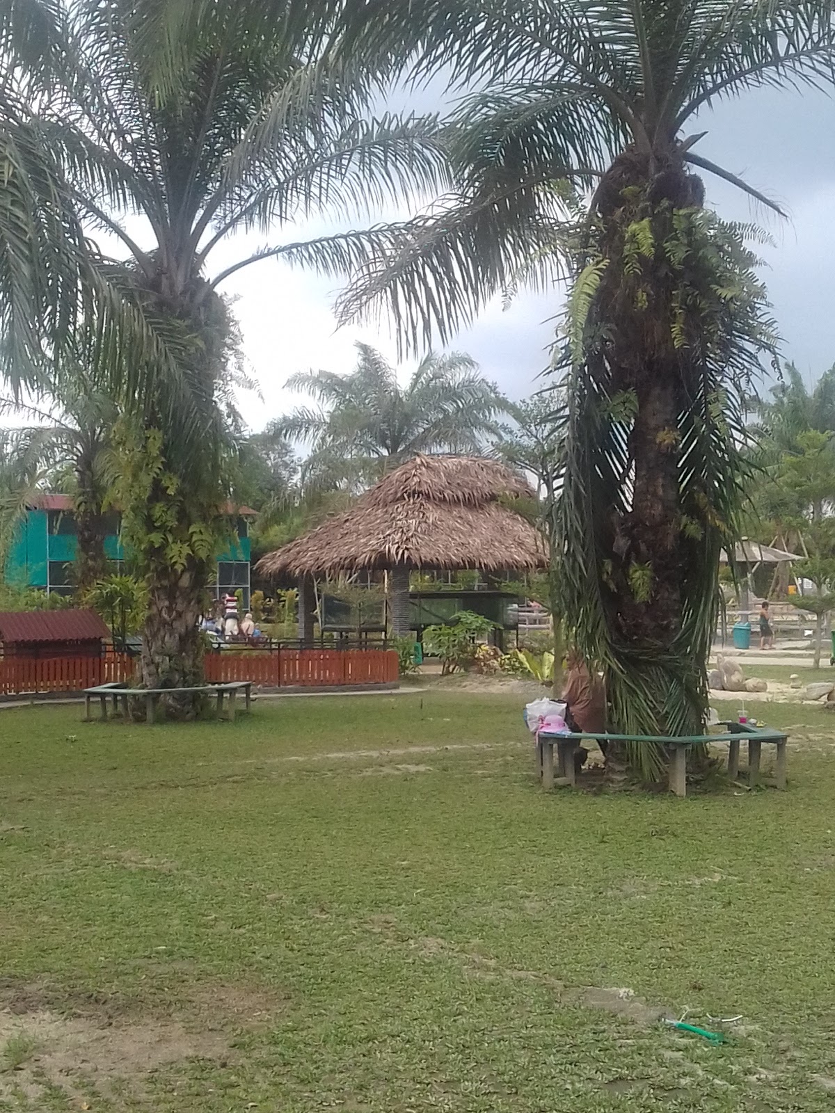Www Daily Wife Com Jalan Jalan R Zoo Di Serdang Bedagai Sumut