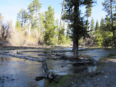 Lassen Volcanic National Park