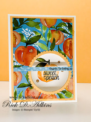 Check out my super easy window card using the Sweet as A Peach Stamp Set from Stampin' Up! Click here to learn more