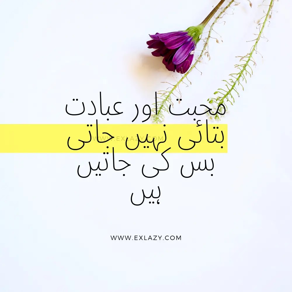 Featured image of post Funny Quotes About Life Lessons In Urdu : Best collection of famous quotes and sayings on the web!