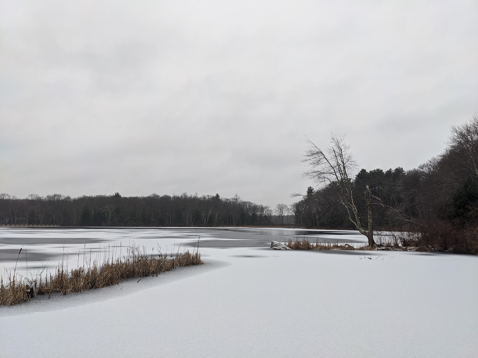 Franklin Matters: Franklin Public Schools: Accelerated Dismissal/No Franklin Matters: Franklin Public Schools: Accelerated Dismissal/No