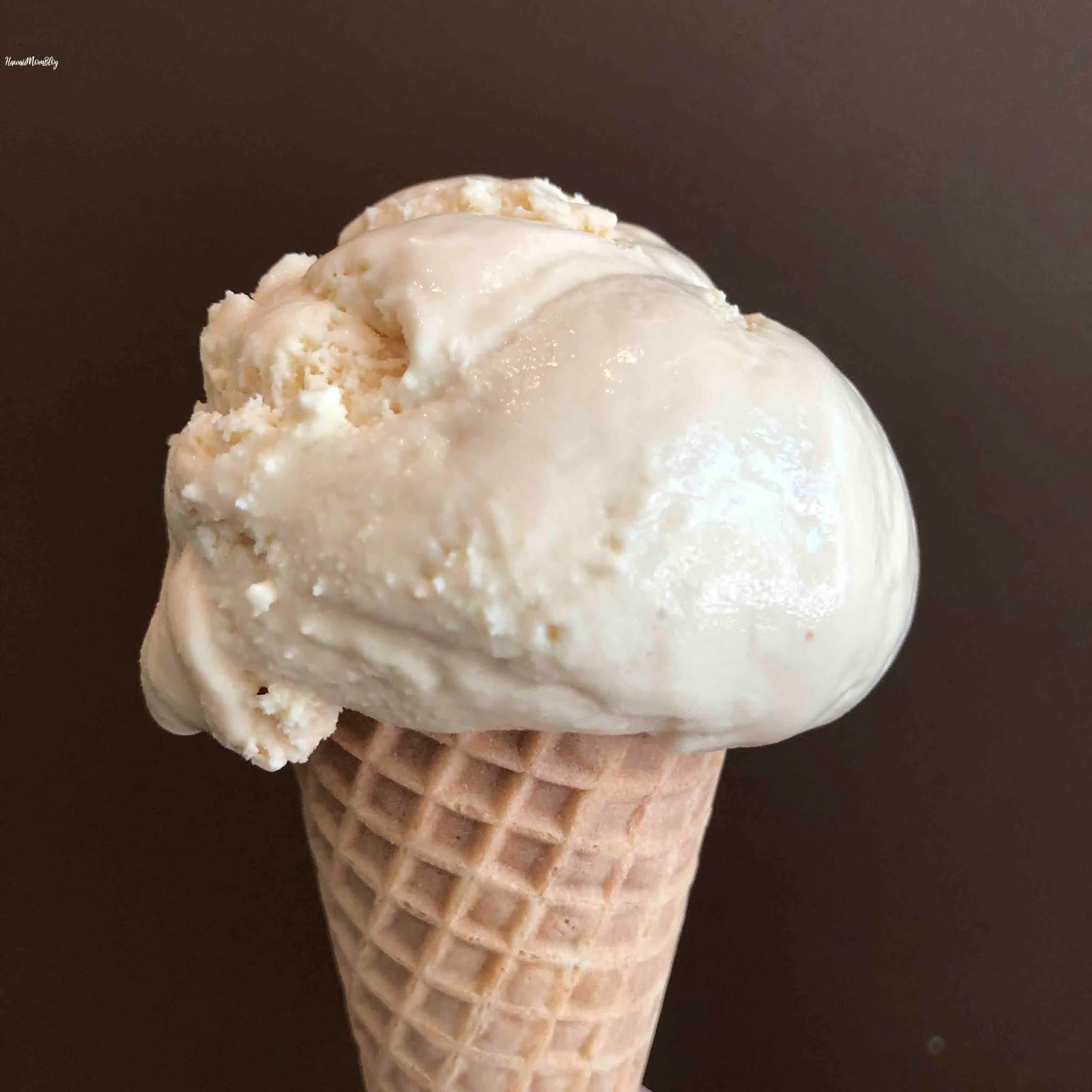 Hawaii Mom Blog Visit Missouri Glacé Artisan Ice Cream