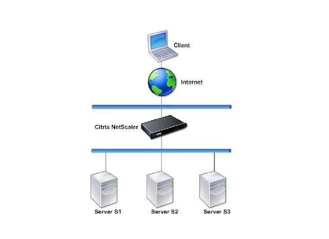Citrix NetScaler Guide: Understanding the Citrix NetScaler
