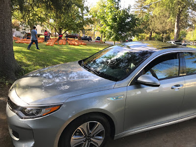 Do you take a drive to see leaves and buy a pumpkin?