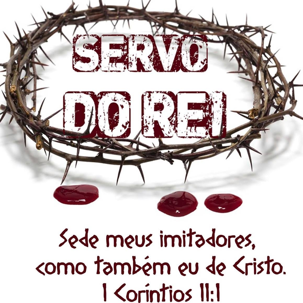 Servo do Rei Seja louco você também!