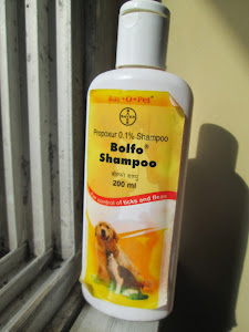 Friday(25-7-2014) :- This "Anti Flea Shampoo" almost killed Tomcat Matata.