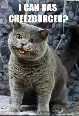 cheezburger dating