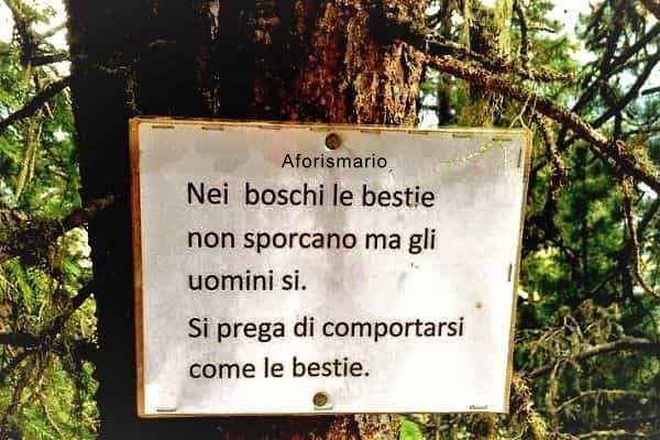 Aforismario Aforismi Frasi E Citazioni Sul Bosco