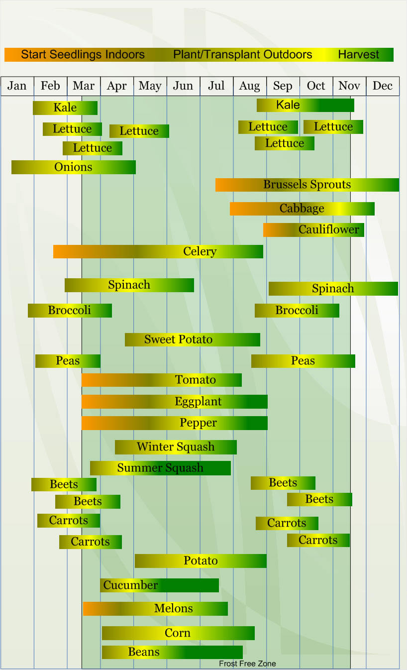 Zone 8b Planting Guide When To Plant Potatoes For A Bountiful Harvest 