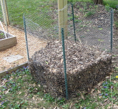 Following the Master Gardener: Our Journey to the Garden