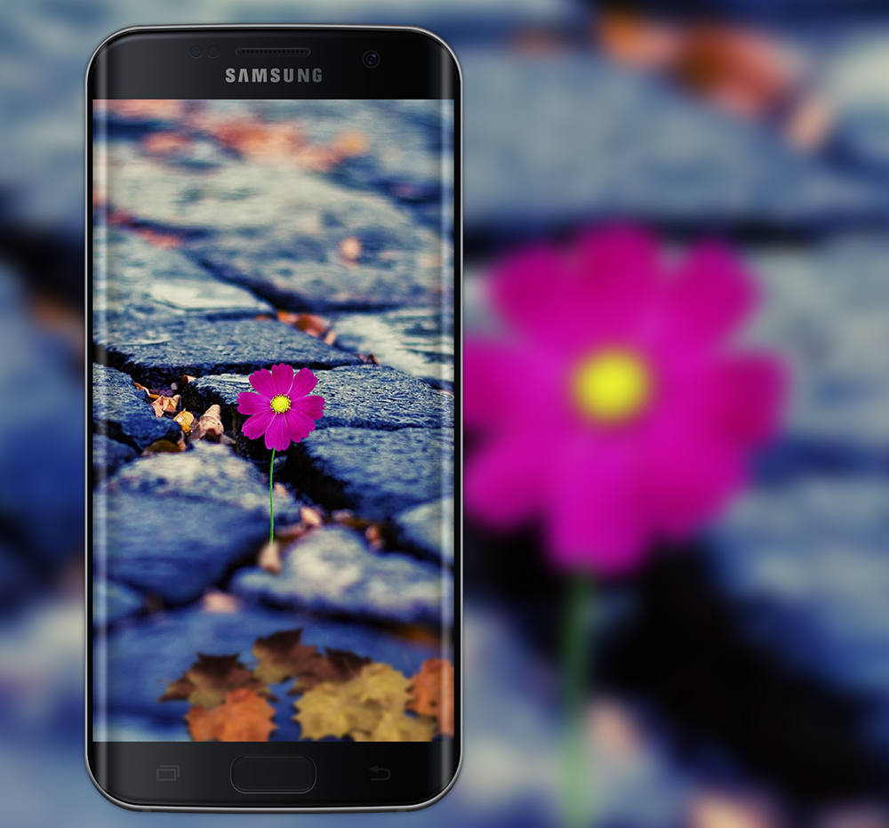 Samsung телефона 31. Самсунг а 32. Самсунг а31 снимки. Samsung Galaxy j7. Самсунг с цветами.