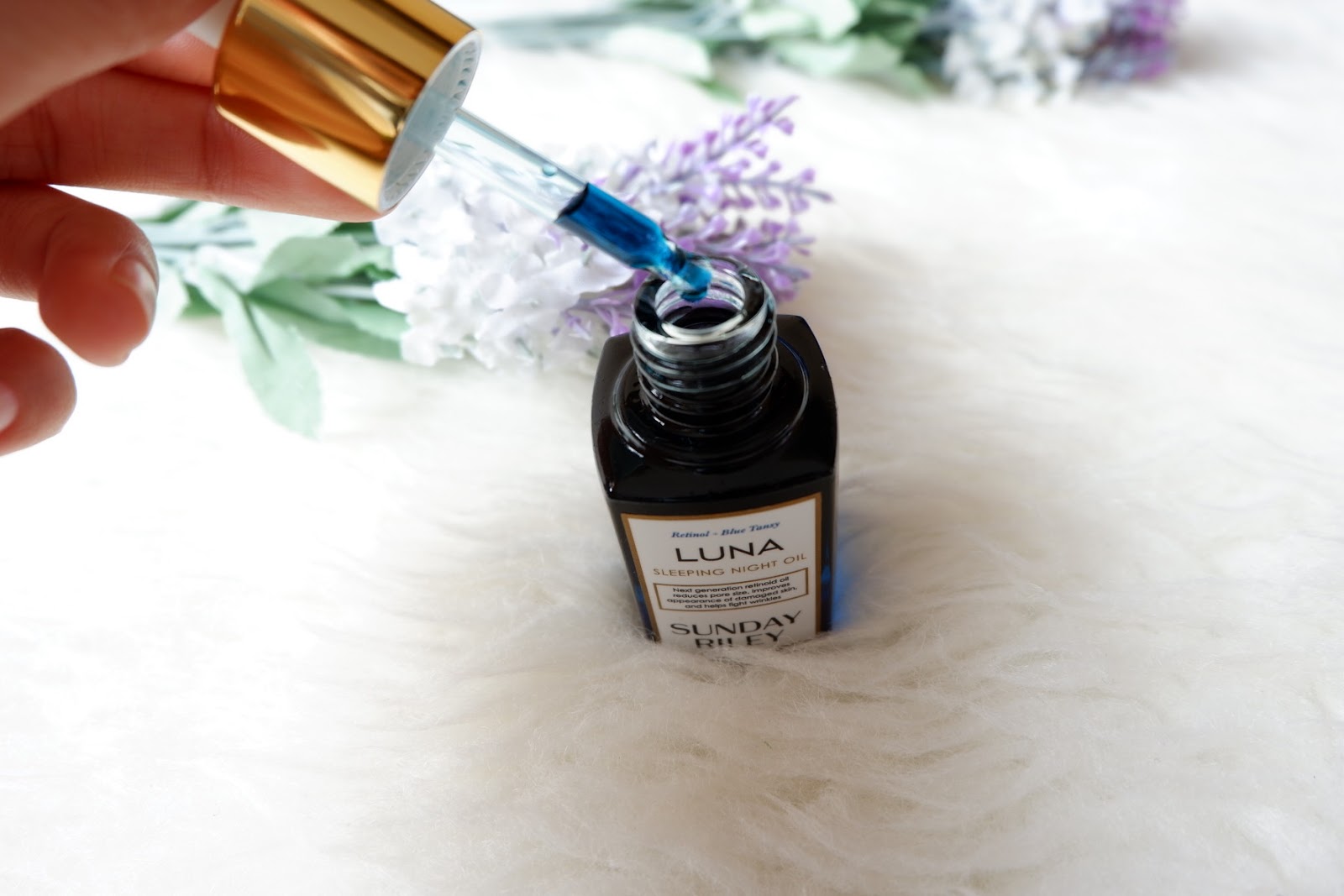 Sunday review. Sunday review. джонатан франзен поправки.