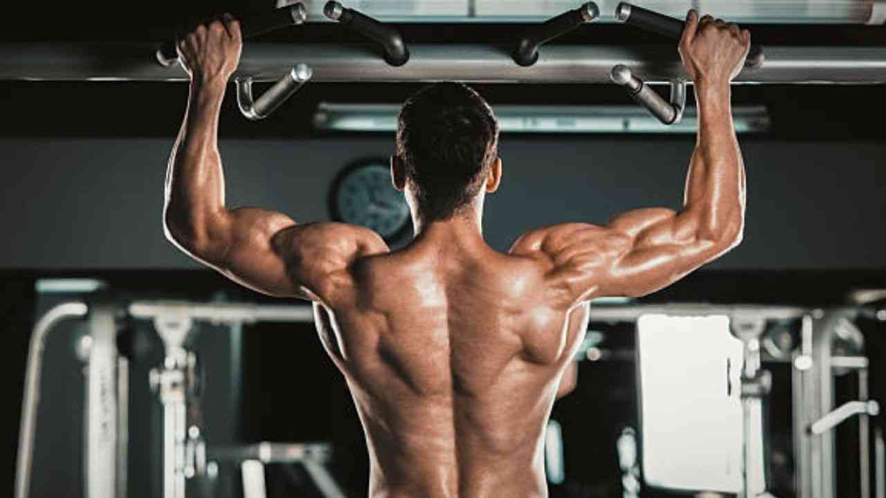 How to Build Muscles Fast At Home | HealthInsta