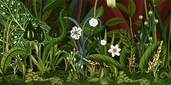 Ботаническая анимация «История цветов»