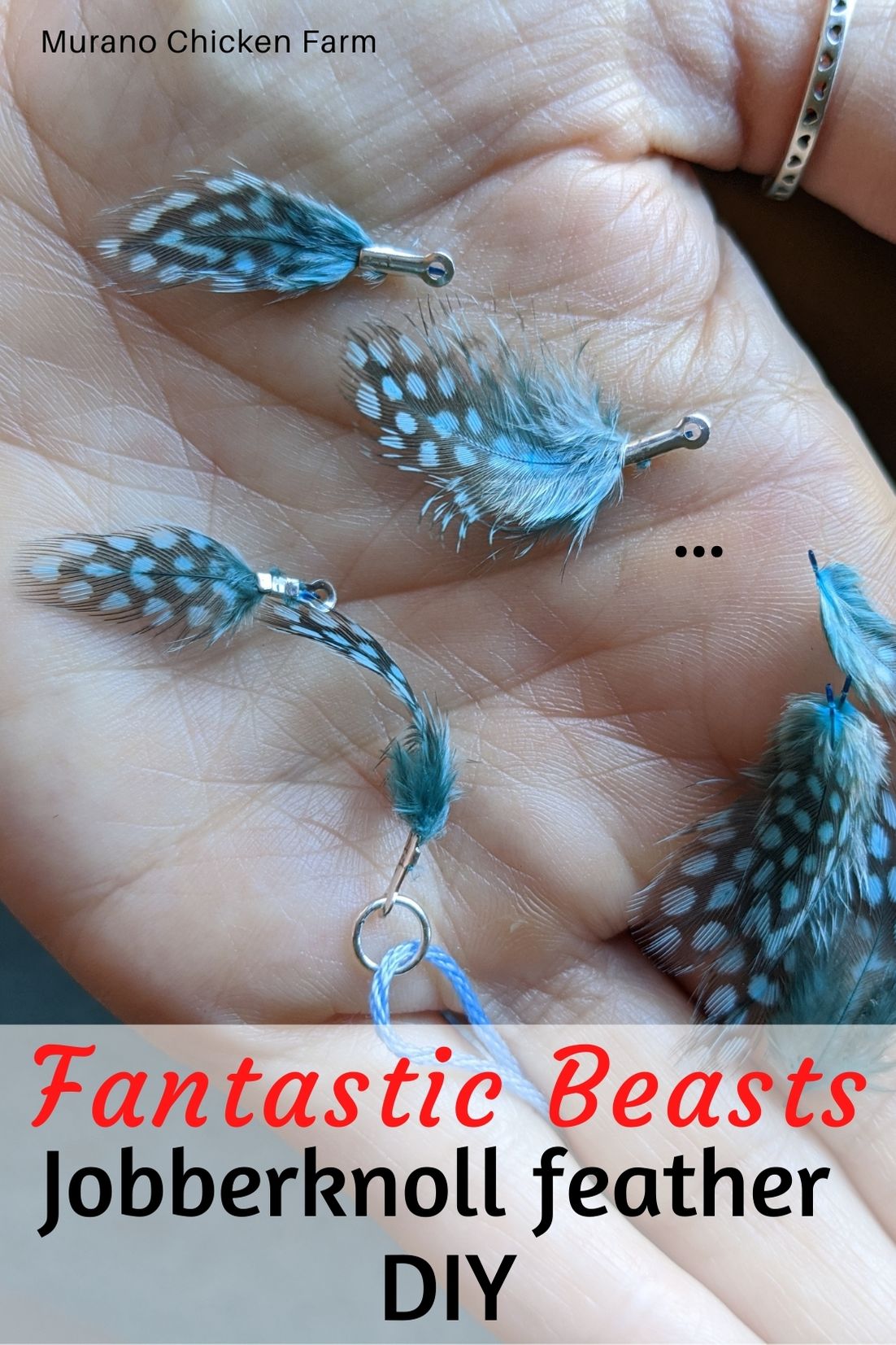 How to dye chicken feathers the cheap way (super easy!) Murano