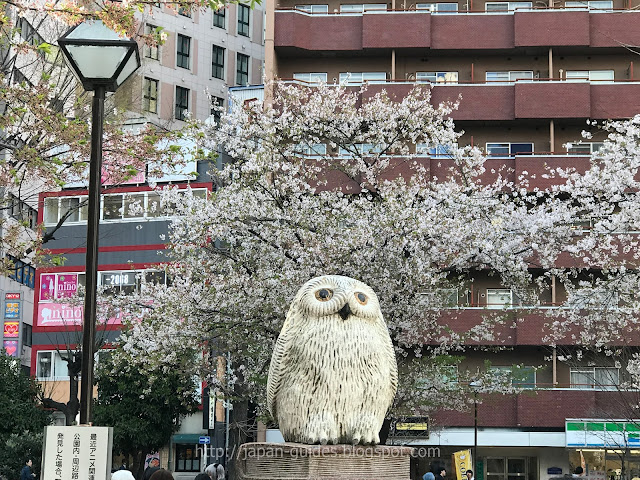 Owl Statue Landmark Japan